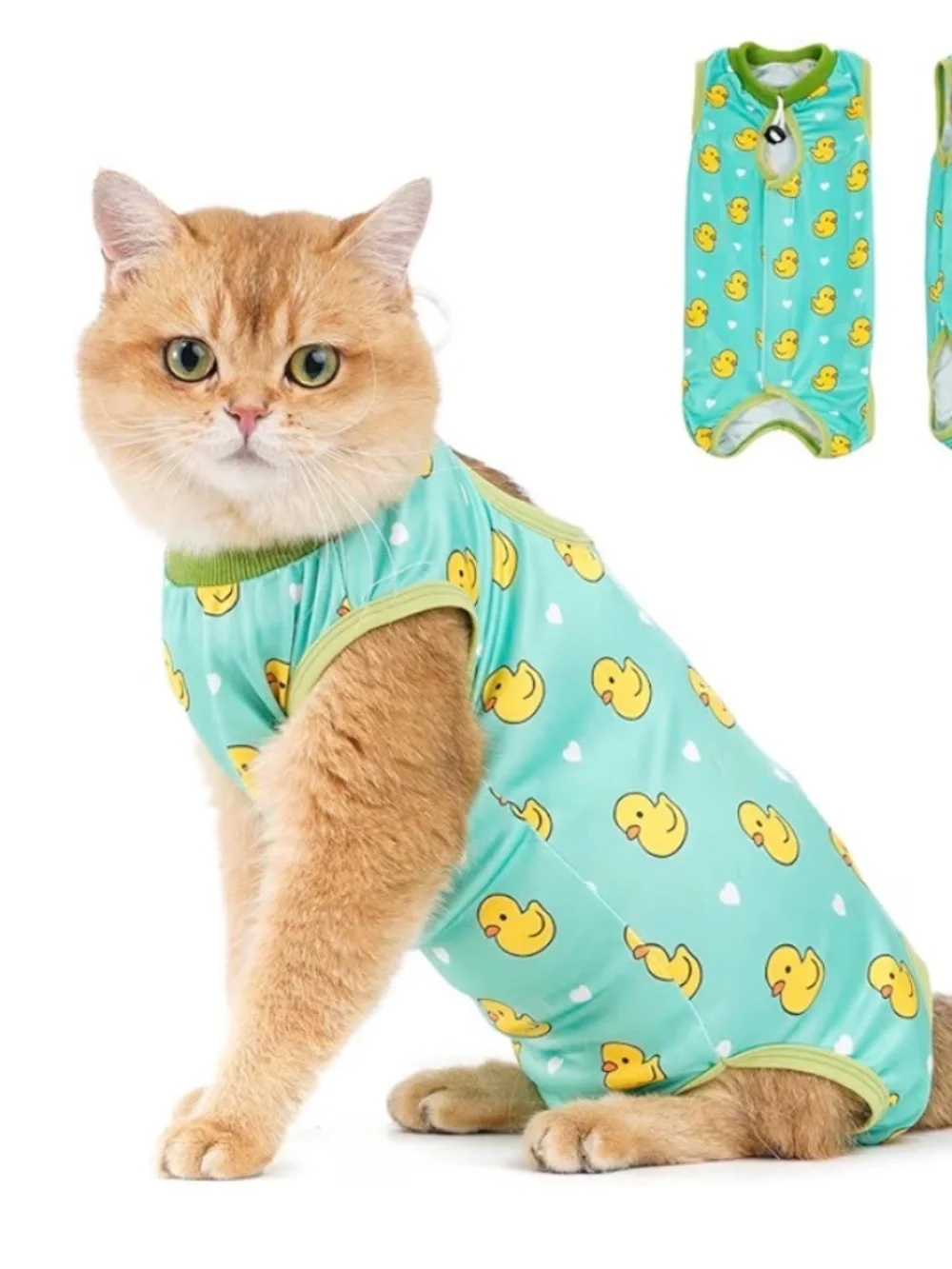Cat Recovery Suit